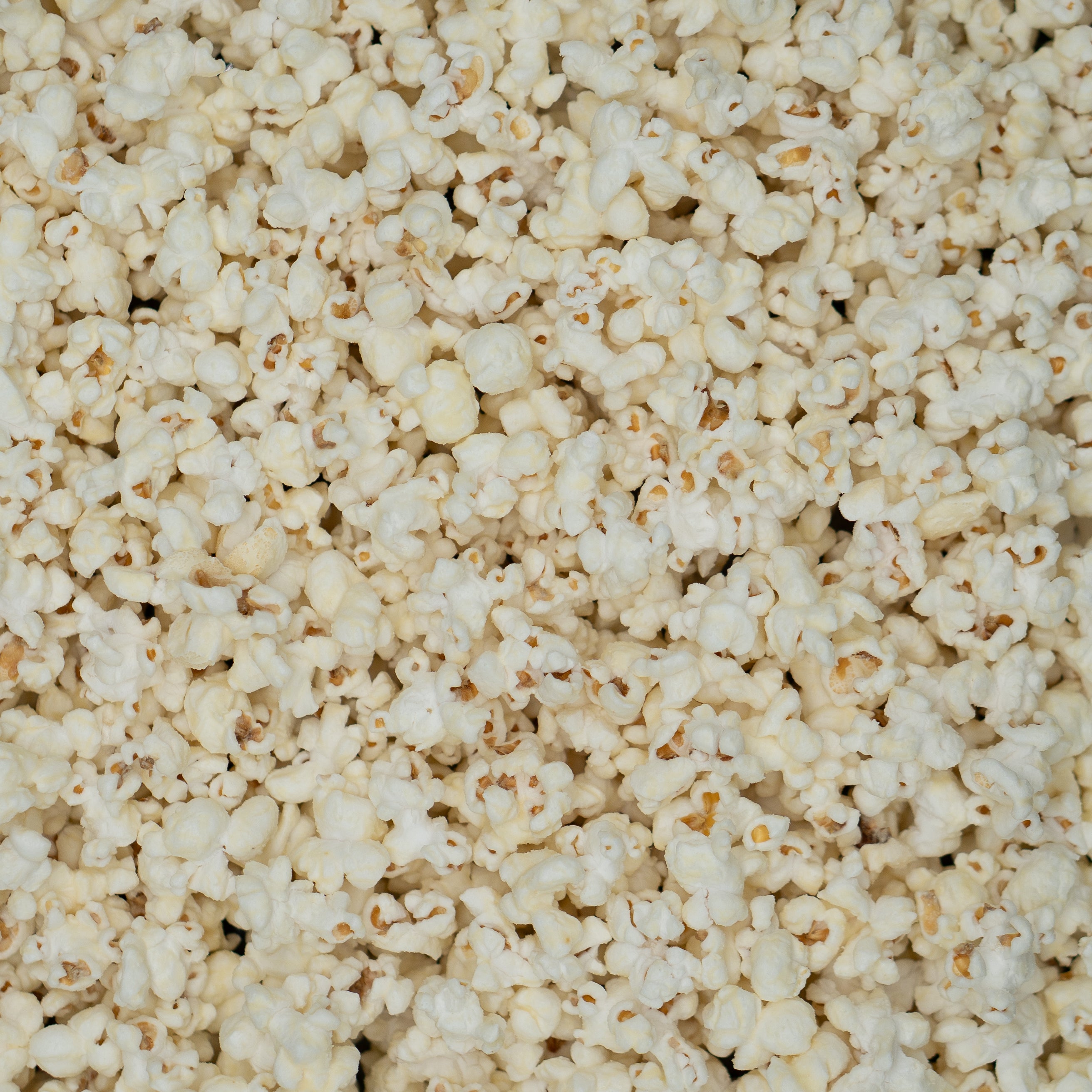 White Cheddar Cheese